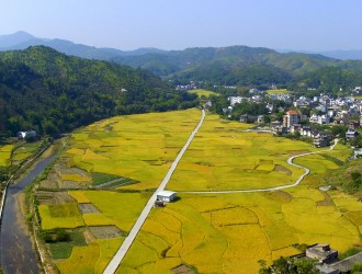 出实招强举措 促进种业基地高质量发展